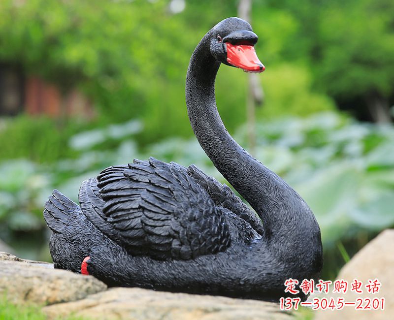 台州黑色天鹅卧姿雕塑-园林水景动物摆件